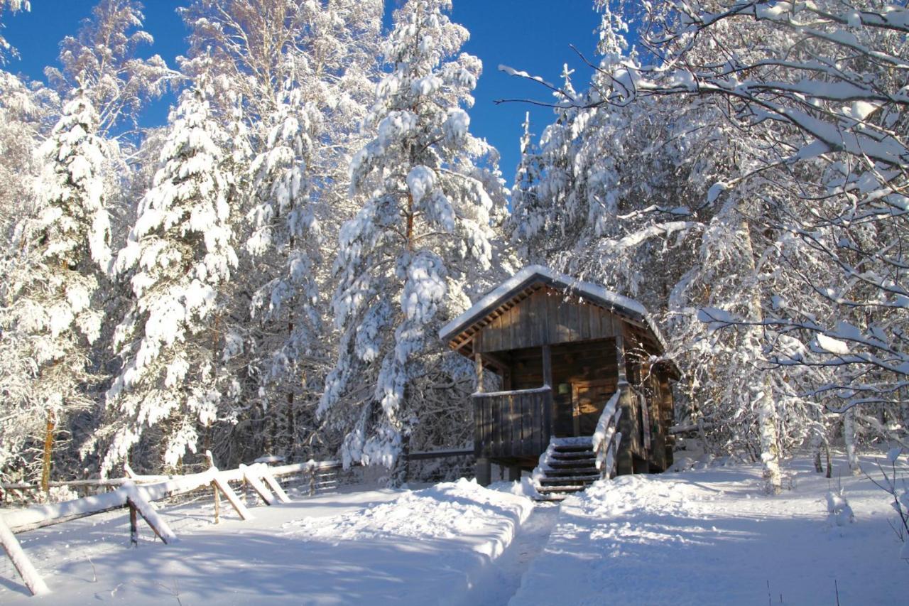 Kolin Mattila B&B Kolinkylä Exterior foto